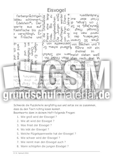 Eisvogel.pdf